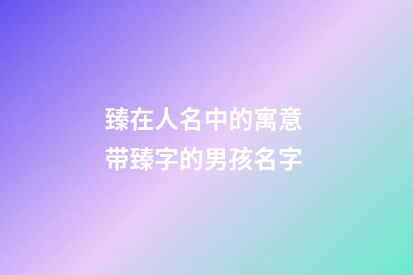 臻在人名中的寓意 带臻字的男孩名字
